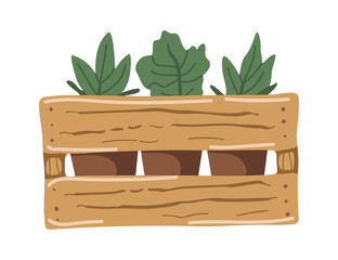 Vector isolated element. Seedlings. Gardening. Springtime. Color image on a white background. The print is used for packaging design.