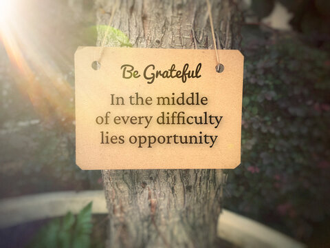 Motivational and inspiration quotes - In the middle of every difficulty lies opportunity. With tree and wooden signage background. Motivational concept.