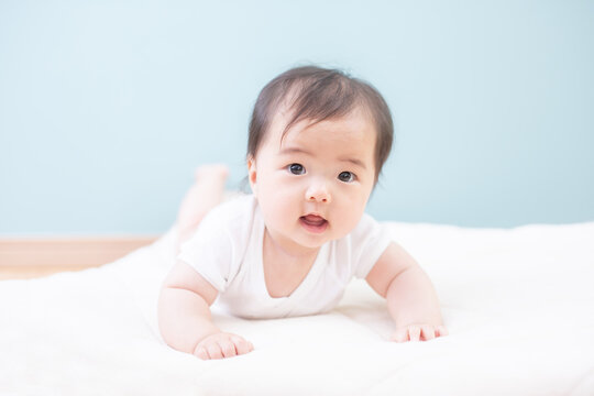 腹ばい Images Browse 221 Stock Photos Vectors And Video Adobe Stock