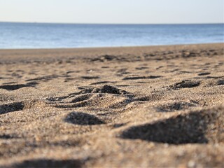 砂浜の足あと