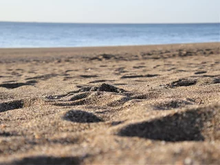 Foto op Plexiglas 砂浜の足あと © ジュンイチ ホシノ