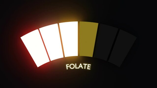 Vitamin B9 folate level abstract scale. Food value measuring. 3D render