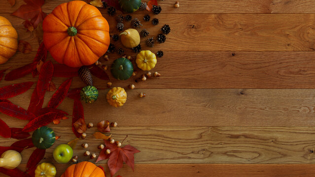 Thanksgiving Background.