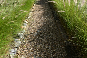 stone walkway with green garden, exterior design