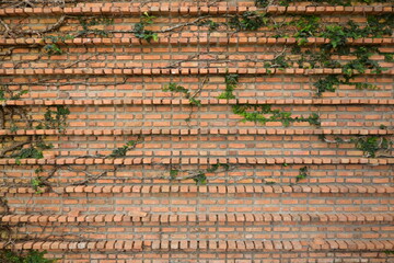 dirty block interior design, birck wall background