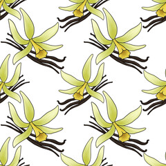 seamless pattern with drawing flower of vanilla at white background, hand drawn illustration