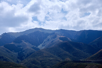 green mountains covered with grass and shrubs