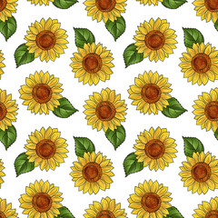 seamless pattern with drawing flower of sunflower at white background, hand drawn illustration