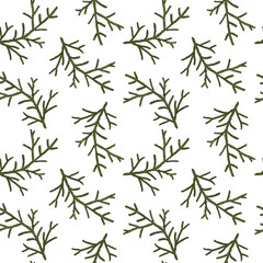 seamless pattern with drawing branch of white cedar at white background,Thuja occidentalis, hand drawn illustration