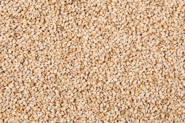 close up of sesame seeds texture background