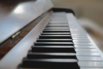 Black and white piano keys. Piano keys.