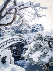 雪が積もる日本庭園の太鼓橋