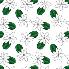 seamless pattern with drawing white flowers of Tahitian gardenia , Gardenia taitensis, tiare at white background, hand drawn illustration
