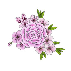 drawing floral compostiom with pink flowers and green leaves, bouquet at white background, hand drawn illustration