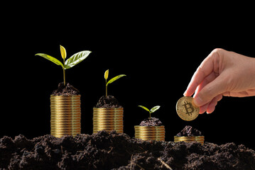 Man's hand  giving the golden coin to young plant in soil on coin stack and germination, investment, income, financial, business growth concept, copy space.