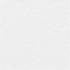 Monochrome texture background. Image includes the effect the black and white tones. Surface looks rough. Gray printing element. Backdrop texture wall and have copy space for text.