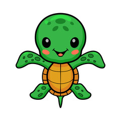 Cute little turtle cartoon posing