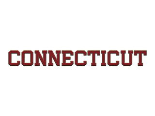 American State Embroidery Cross Stitch Design