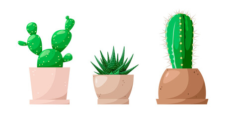 A set of cacti in pots. Cartoon design. Vector illustration.
