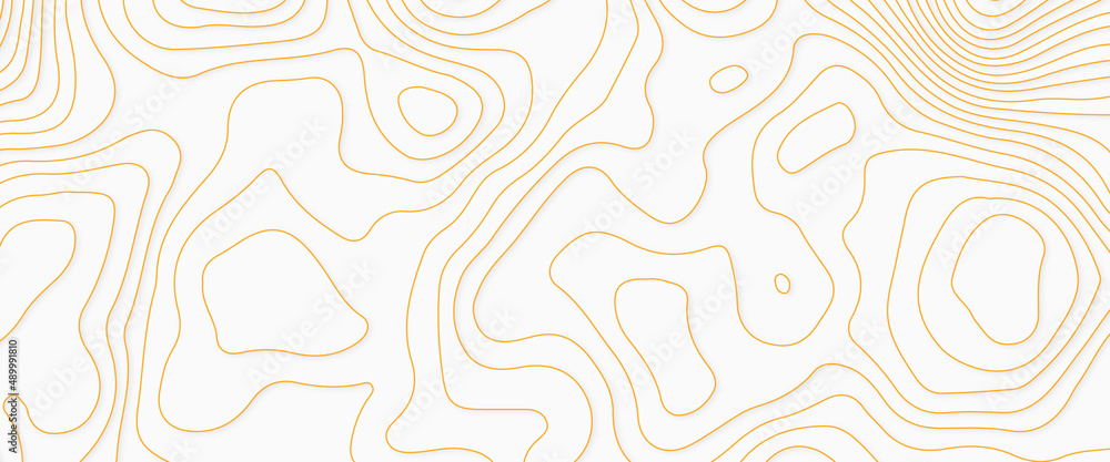 Poster abstract stylized topographic contour elevation in lines and contours, abstract background with line