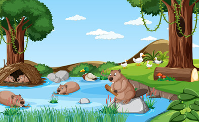 River in the forest with otters and ducks © blueringmedia