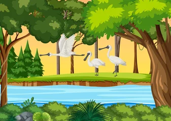 Many spoonbill at the pond © blueringmedia