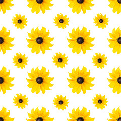 Seamless natural pattern of natural yellow flowers on white background, as backdrop or texture. Bright summer wallpaper. Top view Flat lay