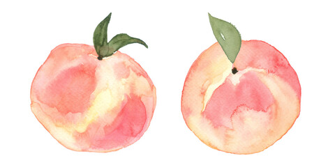 Peach Fruit Watercolor Collection, Hand Drawn and Painted, Isolated on White Background. - 489999222