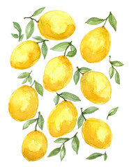 9 lemon watercolor painting, isolated on white background, hand drawn and painted - 489999249