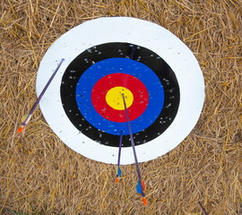 arrows and archery target outdoor farm