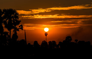 Sunset Background behind the sugar palm trees and rice field at Phetchaburi, Thailand