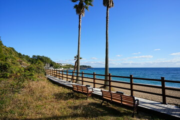 seaside walkway and palm trees