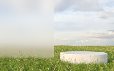 Abstract natural field scene with podium for product display and frosted glass background. 3d rendering