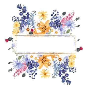 Watercolor frame with sunny flowers, wild flowers, herbs, botanical illustration, isolated on white background