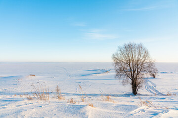 Snow covered winter field with trees. Winter landscape. Beautiful winter nature. Frozen water reservoir.