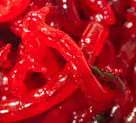 Red bloodworm worms as a background.