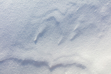 Snowy crust as an abstract background.