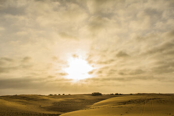 Fototapeta na wymiar Various views of the Sam's sand dunes