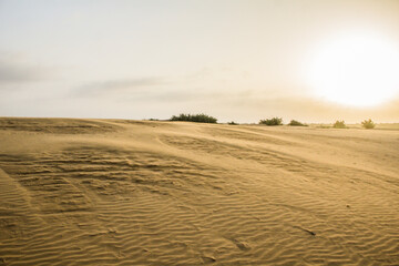 Various views of the Sam's sand dunes