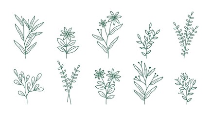 Doodle hand drawn leaf collection for background, wedding invitation ornament, social media post background, thank you card, greeting card, background element.