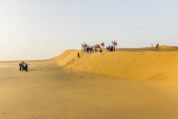 Various views of the Sam's sand dunes