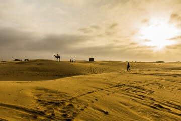 Fototapeta na wymiar Various views of the Sam's sand dunes