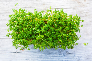 Edible and healthy green watercress. Micro Greens.