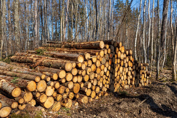 Wandern bei Tuttlingen