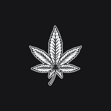 Cannabis leaf drawing illustration.