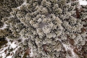 Top view from trees in Romanian mountains at snowy season