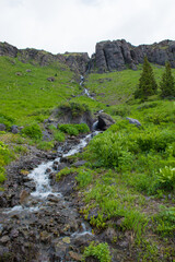 Lush Mountain Stream