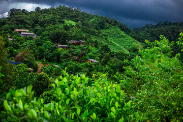 Beautiful Doi pui view point chiangmai thailand with green forest on the mountain background.