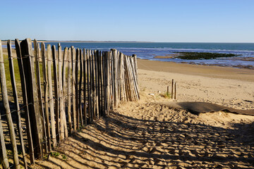 sandy beach fence pathway to protect dune and access water sea