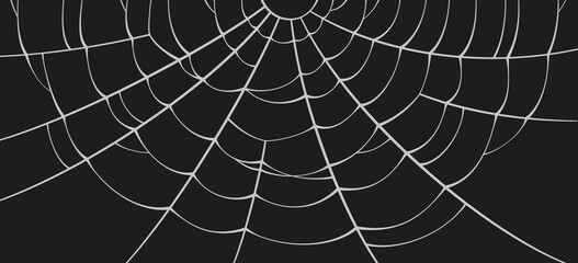 Scary spider web. White cobweb silhouette isolated on black background. Doodle spideweb banner. Hand drawn cob web for Halloween party. Vector illustration.